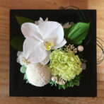 お供え、開業祝、フォーマルシーンにプリザーブドフラワーのっ胡蝶蘭を用いたフレームアレンジ（ココロ）